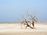 Salton Sea