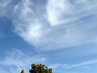 Joshua Tree NP