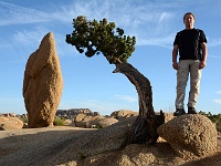 Joshua Tree NP