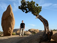 Joshua Tree NP