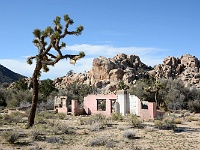 Joshua Tree NP