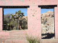 Joshua Tree NP