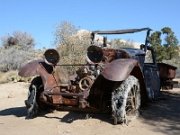 Joshua Tree NP