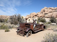 Joshua Tree NP