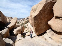 Joshua Tree NP