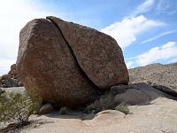 Joshua Tree NP