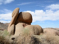 Joshua Tree NP