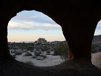 Joshua Tree NP