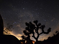 Joshua Tree NP