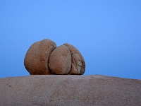 Joshua Tree NP