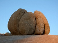 Joshua Tree NP