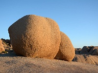 Joshua Tree NP