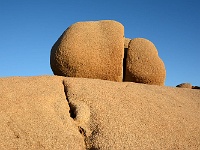 Joshua Tree NP