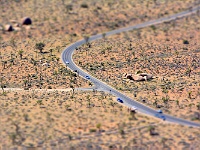 Joshua Tree NP
