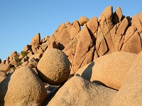 Joshua Tree NP