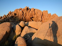 Joshua Tree NP