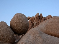 Joshua Tree NP