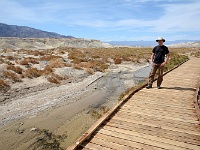 Death Valley - Salt Creek