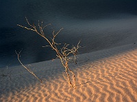 Death Valley - Mesquite Sand Dunes