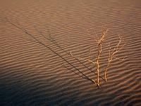 Death Valley - Mesquite Sand Dunes