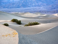 Death Valley - Mesquite Sand Dunes