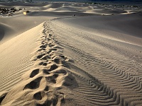 Death Valley - Mesquite Sand Dunes