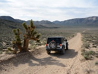 Death Valley - Hidden Valley
