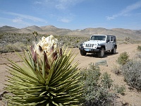 Death Valley