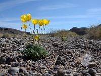 Death Valley - Monarch Mine