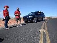 Valley of Fire - wild turtoise