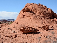 Valley of Fire - wild turtoise