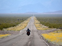 Lone Rider