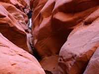 Red Rocks