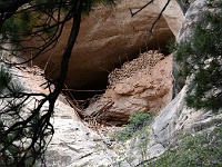 Birdhouse Ruin