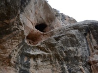 Birdhouse Ruin