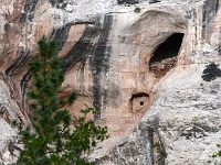 Birdhouse Ruin