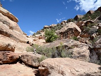 Sheiks Canyon