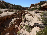Fortknocker Canyon