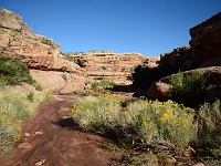 Long Canyon