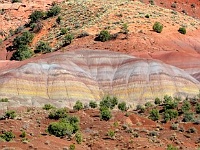 Clay Hills