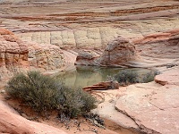 Coyote Buttes North