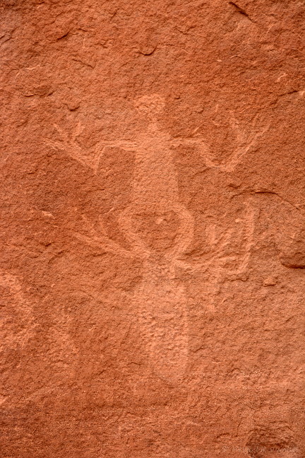164