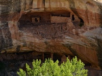 Cedar Mesa