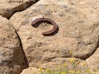 Window Wind Arch