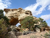 Window Wind Arch