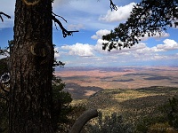 Window Wind Arch - Viewpoint