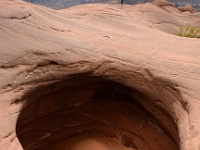 Dance Hall Rock