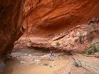 Coyote Gulch