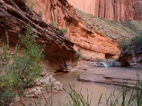 Coyote Gulch