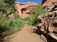 Coyote Gulch